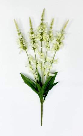 Шалфей дубравный белый 5 соцветий