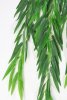 картинка Ампельная ветка ивы от магазина KALINA