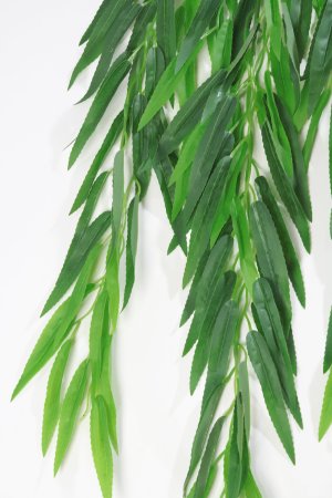 картинка Ампельная ветка ивы от магазина KALINA