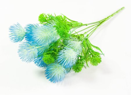 Букет гемантуса