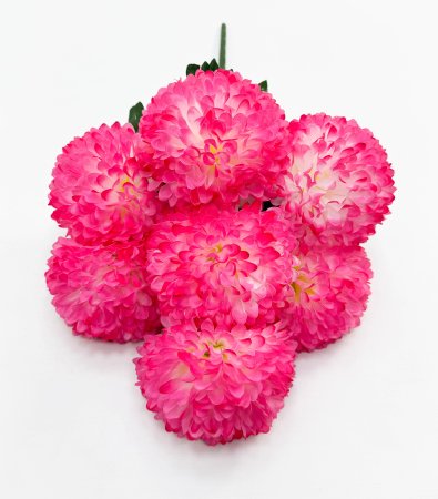 Хризантема "Дыхание заката" 7 цветков