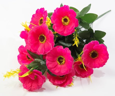 Тунбергия 12 цветков