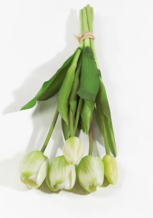 Букет тюльпанов 3+2 белые