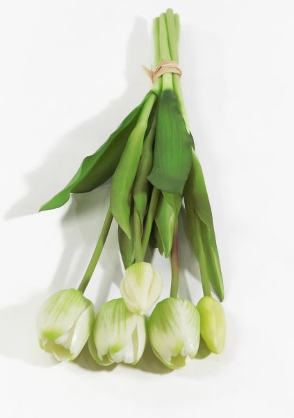 Букет тюльпанов 3+2 белые