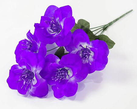 Нарцисс "Джувел" 5 цветков от магазина KALINA являющийся официальным дистрибьютором в России 