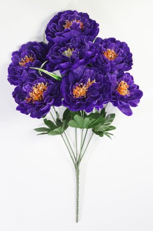 Пион "Натула" 7 цветков