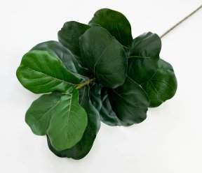 картинка Лирата темно-зеленая 15 листов от магазина KALINA