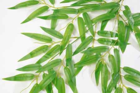 картинка Лист бамбука светлый от магазина KALINA