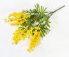 Букет мимозы 5 веток