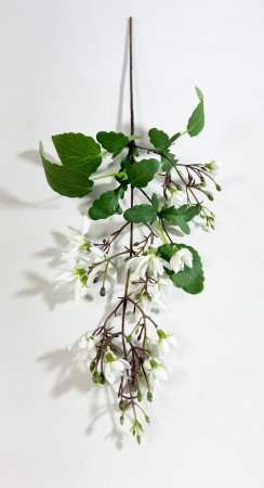 Дейция гибридная белая