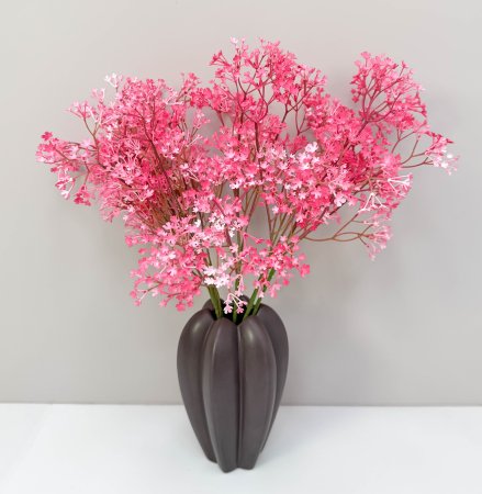 Гипсофила "Изящная" дикий арбуз