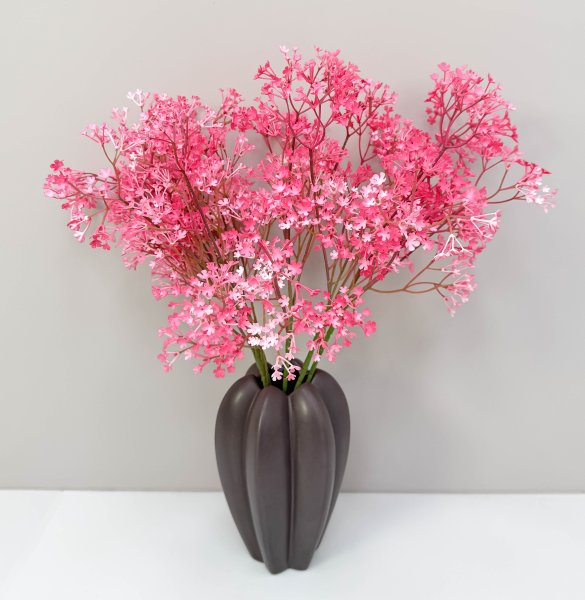 Гипсофила "Изящная" дикий арбуз