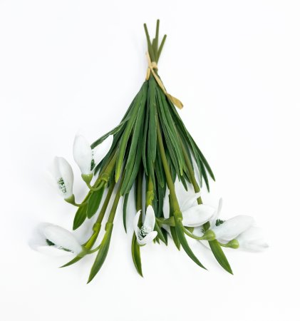 Подснежник