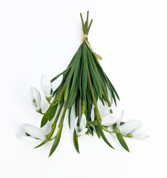 Подснежник