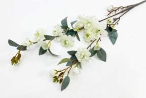 Сакура "Самурайский бутон" белая