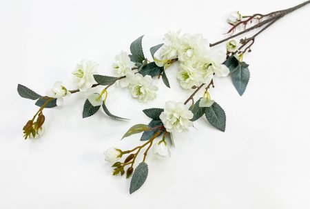 Сакура "Самурайский бутон" белая