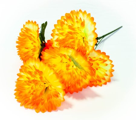 Букет астры " Седая" 7 веток 7 цветков