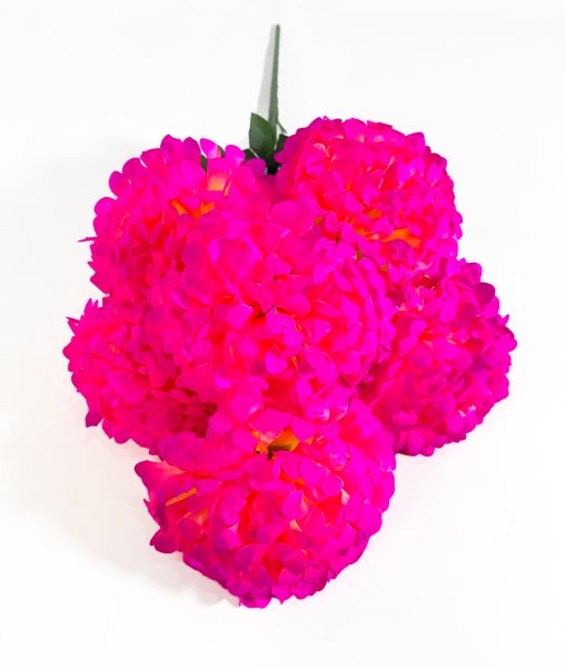 Букет шафрана "Супер гигант" 6 цветков