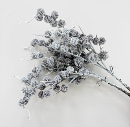 Репей в снегу