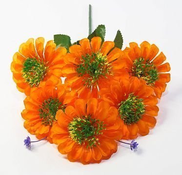 Букет цинний 6 цветков от магазина KALINA являющийся официальным дистрибьютором в России 