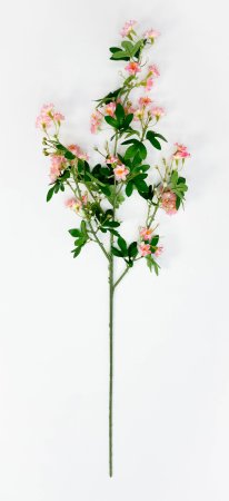 Цветущая вишня "Зефирное утро" розовая