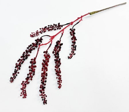 картинка Фитолакка бордо от магазина KALINA