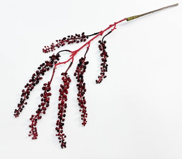 картинка Фитолакка бордо от магазина KALINA