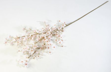 Ветка сакуры Сезон молочная