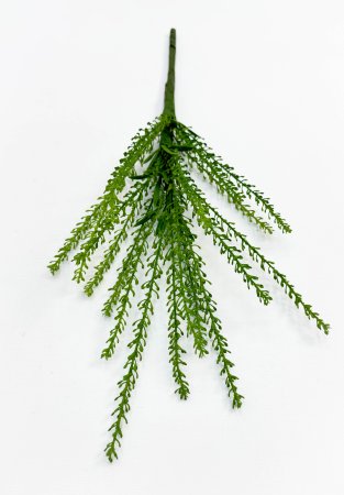 картинка Вереск "Эрика" лето от магазина KALINA