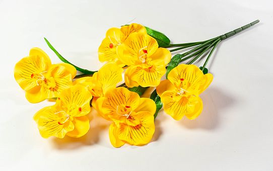 Букет орхидеи 10 веток 10 цветков от магазина KALINA являющийся официальным дистрибьютором в России 