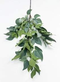 картинка Фикус ветка большая светло-зеленая от магазина KALINA