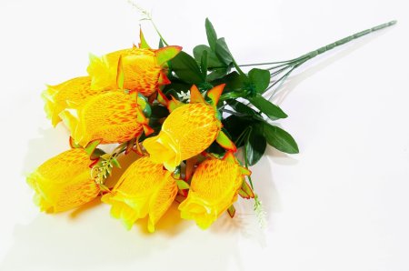 0edcd61d544e2bc3f8aaadeb856ad4e5