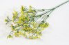 Ветка гипсофилы "Ольхон" желтая
