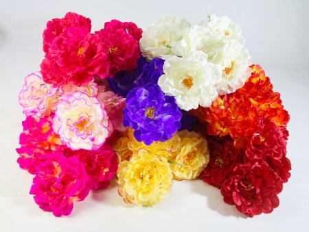 Букет пиона Костарика 6 цветков