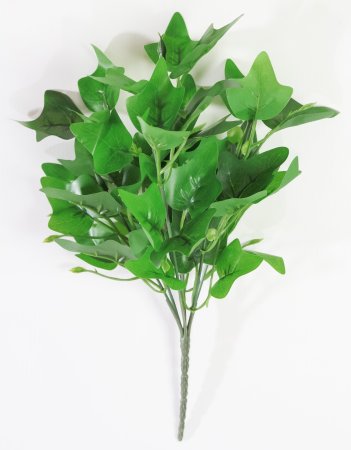 картинка Ветка плюща от магазина KALINA