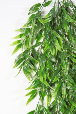 картинка Ветка ивы от магазина KALINA