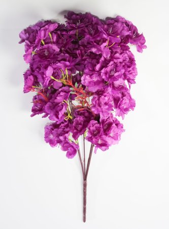 Ветка яблони 5 веток