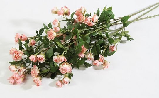 Кустовая роза чайная от магазина KALINA являющийся официальным дистрибьютором в России 