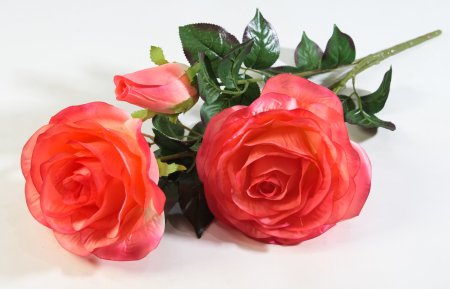 Ветка роз "Фан-фан"