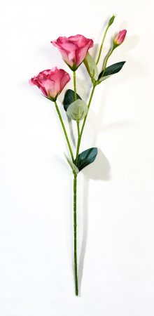 Эустома розовая