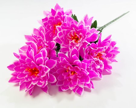 Георгин "Великан" 6 цветков