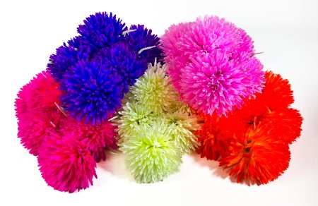 Хризантема Антей 6 цветков