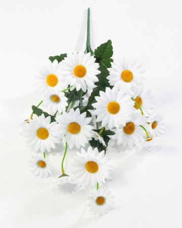 Ромашка Юнона 10 веток