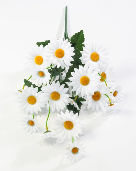 Ромашка "Юнона" 10 веток