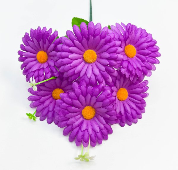 Ромашка "Многокрасочная" 6 цветков