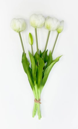 Тюльпан "Круглый" белый