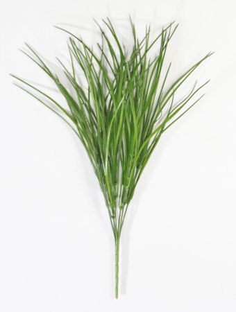 картинка Ветка осоки Природа Байкала от магазина KALINA