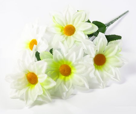 Букет ромашек "Ниагара" 5 цветков