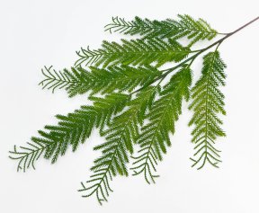 Араукария , искусственные цветы и декор КалинаКрас