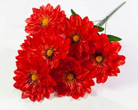 Астра "Резная" 7 цветков от магазина KALINA являющийся официальным дистрибьютором в России 